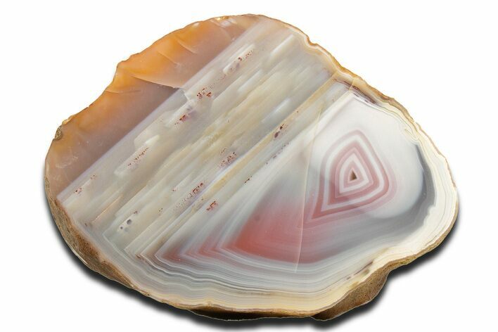 Polished Queensland Agate Nodule - Australia #323011